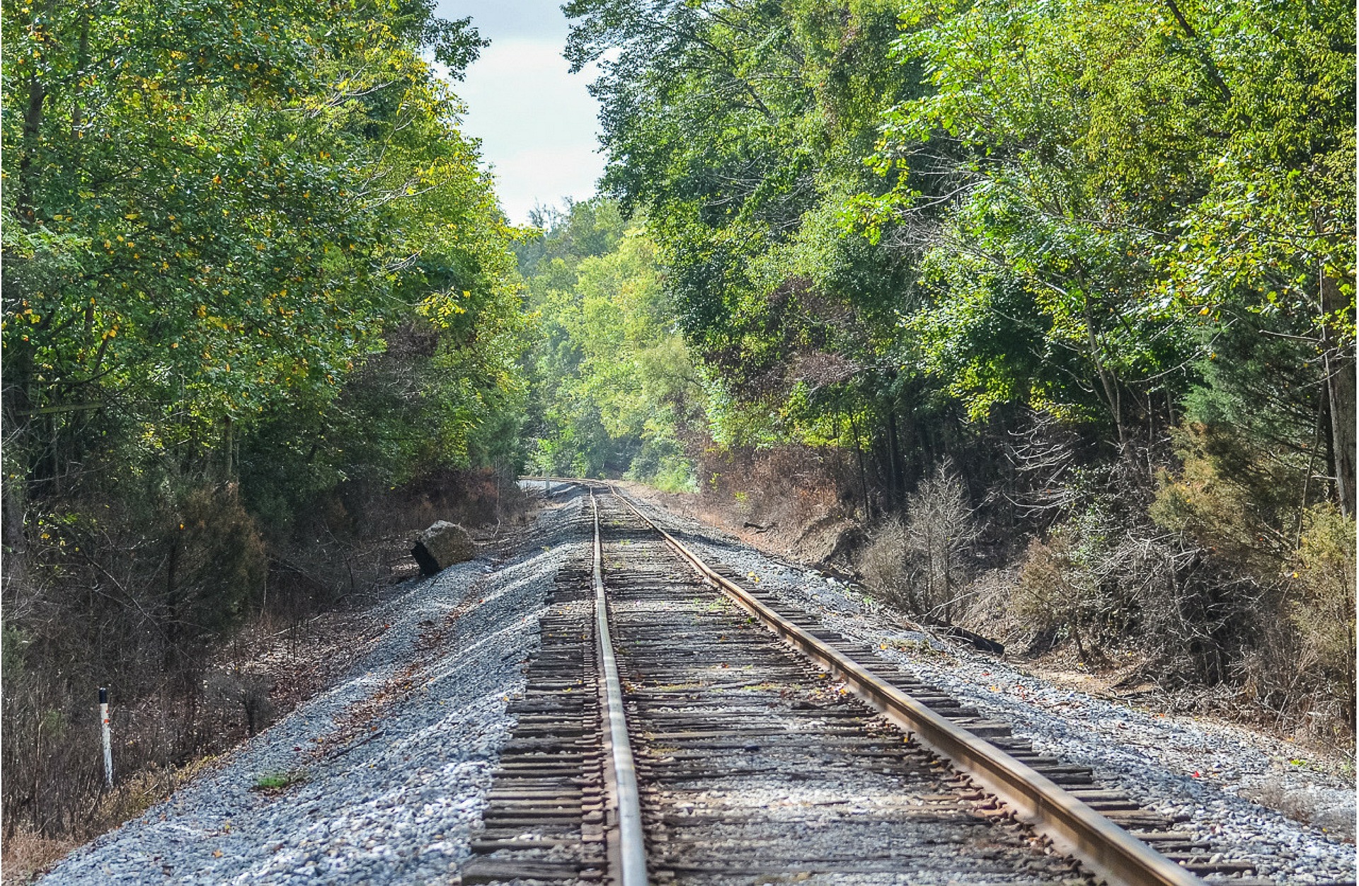 Tracks of a Modern-Day Hobo book cover